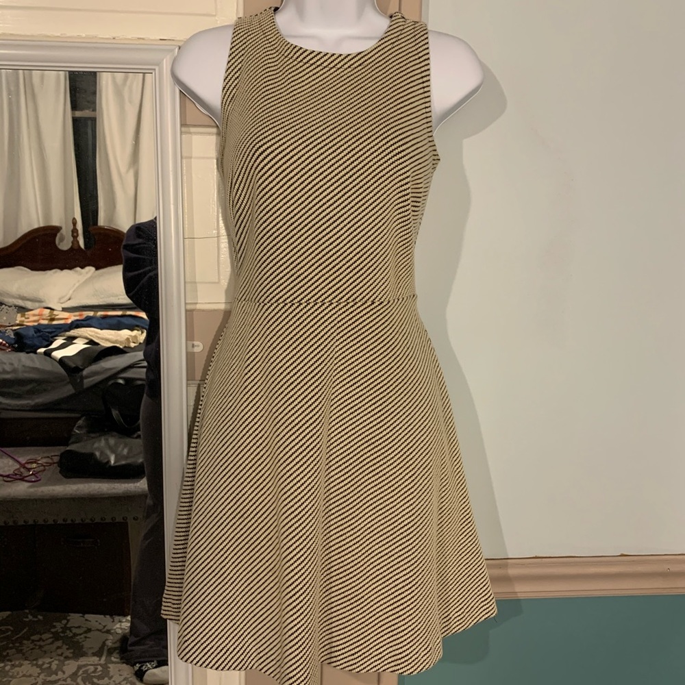 Loft fit/flare dress